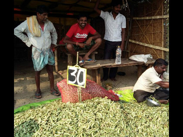  50 ರೂಪಾಯಿಗೆ ಒಂದೂವರೆ ಕೆ.ಜಿ. 