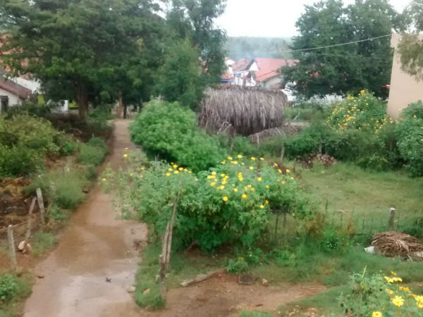 ಜಮೀನುಗಳಲ್ಲಿ ಕೆಂಪು ಬಾವುಟ