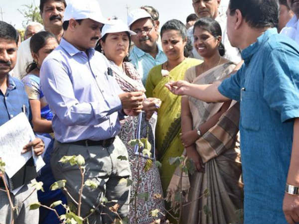 ನಾಶವಾದ ಬೆಳೆಗಳು