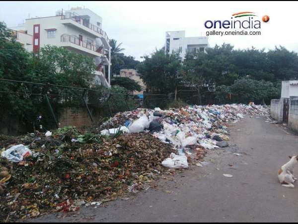 ಬೆಂಗಳೂರಲ್ಲಿ ವಿಪರೀತವಾಗಿರುವ ಕಸದ ಸಮಸ್ಯೆ 