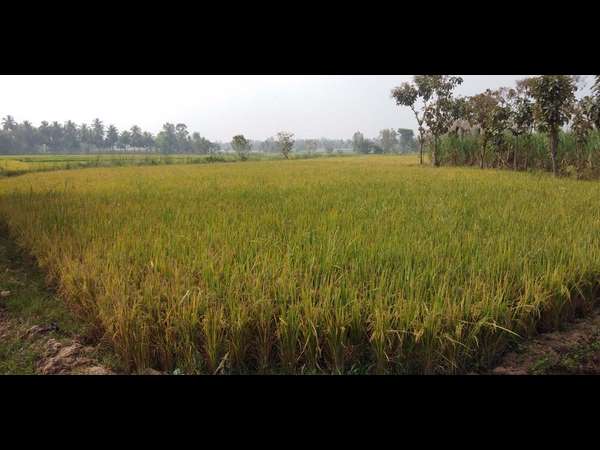 Condolence to Actor Ambarish at Doddarasinakere