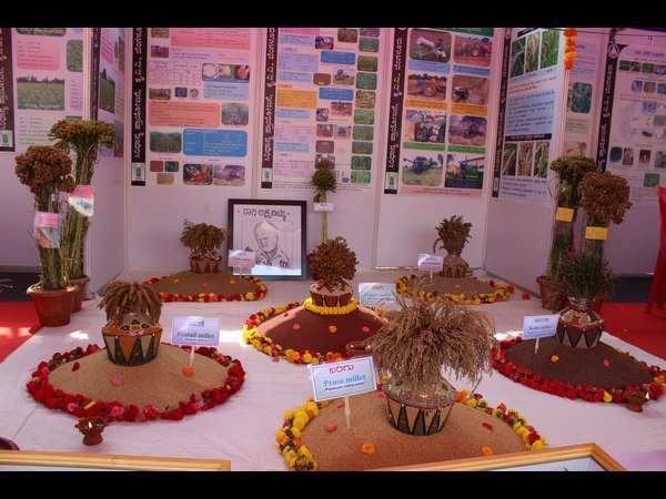 ಕೃಷಿ ವಿವಿಗೆ ವಿದ್ಯಾರ್ಥಿಗಳು ಹೆಚ್ಚಾಗಿದ್ದಾರೆ