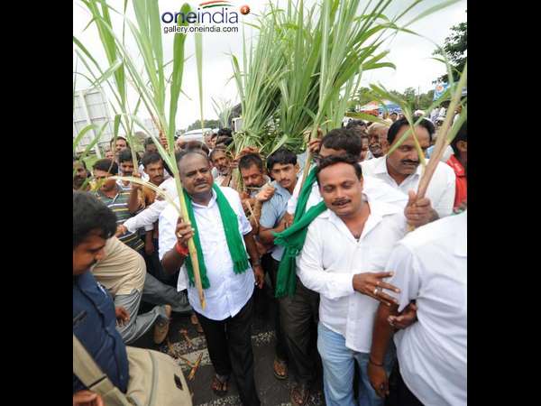 ಕಬ್ಬಿಗೆ ಬೆಂಬಲ ಬೆಲೆಗೆ ಒತ್ತಾಯ