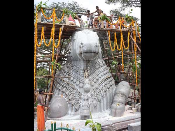 A large number of devotees took part in the Mahamastakabhisheka A large number of devotees took part in the Mahamastakabhisheka