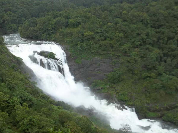 ಕಸ್ತೂರಿ ರಂಗನ್ ವರದಿಯಲ್ಲೇನಿದೆ 