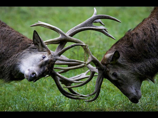 ಆಕ್ಷೇಪಣೆ ಸಲ್ಲಿಸಲು ಅವಕಾಶ 