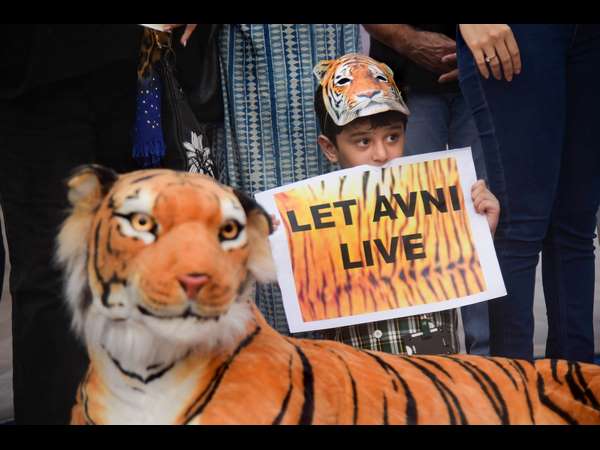 ಇದನ್ನು ಯಶಸ್ವೀ ಕಾರ್ಯಾಚರಣೆ ಅನ್ನೋಲ್ಲ! ಇದನ್ನು ಯಶಸ್ವೀ ಕಾರ್ಯಾಚರಣೆ ಅನ್ನೋಲ್ಲ!