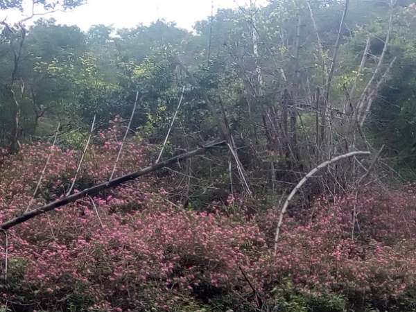 ಪಾರ್ಟಿ ನಡೆಸುವ ಹಾಗಿಲ್ಲ ಪಾರ್ಟಿ ನಡೆಸುವ ಹಾಗಿಲ್ಲ