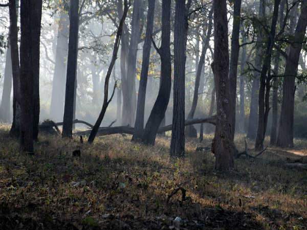 ಸ್ವಚ್ಛಂದವಾಗಿ ವಿಹರಿಸುವಂತಿಲ್ಲ ಸ್ವಚ್ಛಂದವಾಗಿ ವಿಹರಿಸುವಂತಿಲ್ಲ