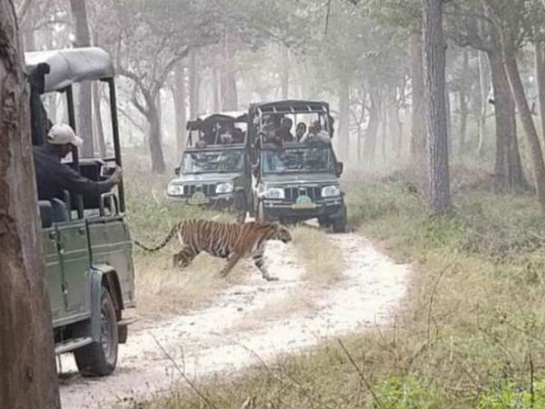 ಈ ಬಾರಿ ಬ್ರೇಕ್ ಈ ಬಾರಿ ಬ್ರೇಕ್