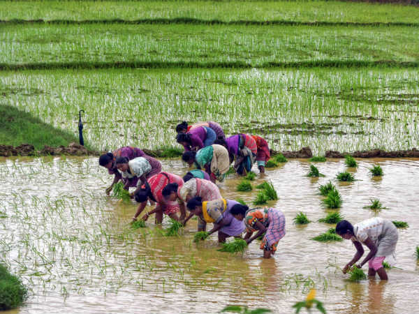 ಮಾರುಕಟ್ಟೆಯಿಂದ ಸಾಲ ಪಡೆಯುವ ಸಾಮರ್ಥ್ಯ ಕೂಡ ಇಲ್ಲ ಮಾರುಕಟ್ಟೆಯಿಂದ ಸಾಲ ಪಡೆಯುವ ಸಾಮರ್ಥ್ಯ ಕೂಡ ಇಲ್ಲ