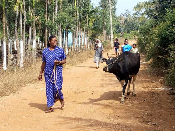 ಕುರಿ-ಹಸು ಮೇಯಿಸುತ್ತಾ ಕಾಣಿಸಿಕೊಳ್ಳುತ್ತಾರೆ