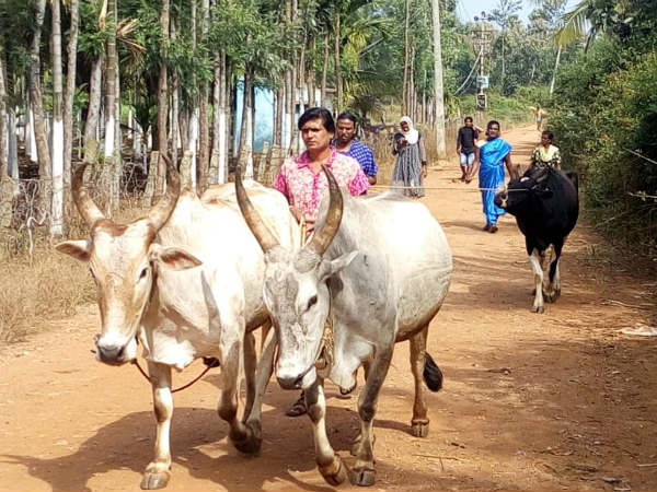 ಅಪ್ಪಟ ಕೃಷಿ ಕಾಯಕದಲ್ಲಿ ಮಂಗಳಮುಖಿಯರು