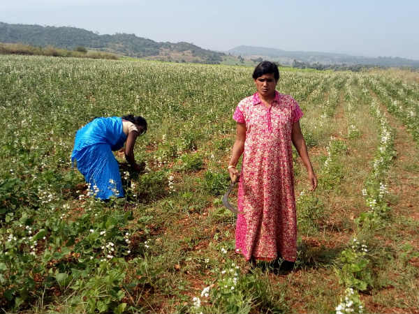 ಕೆಲ ಕಾಲ ರೈತರೊಬ್ಬರ ಮನೆಯಲ್ಲಿ ದುಡಿಮೆ