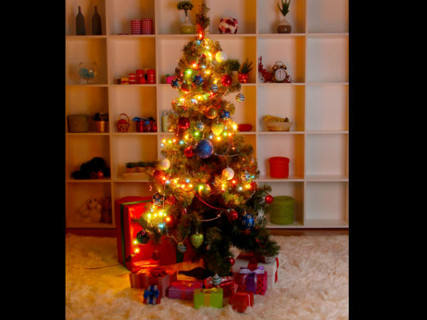 Christmas festival celebration across the globe