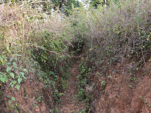 Learning to lead meaningful life from Soliga community