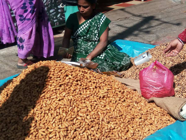 ಕಡಲೆಕಾಯಿ ಸೇರಿಗೆ 25 ರೂ 