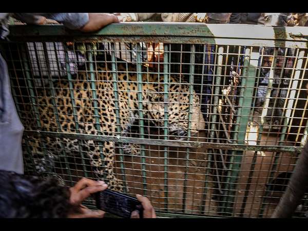 ಹೊರಗೆ ಬಂದು ಬಾಗಿಲು ಮುಚ್ಚಿದರು