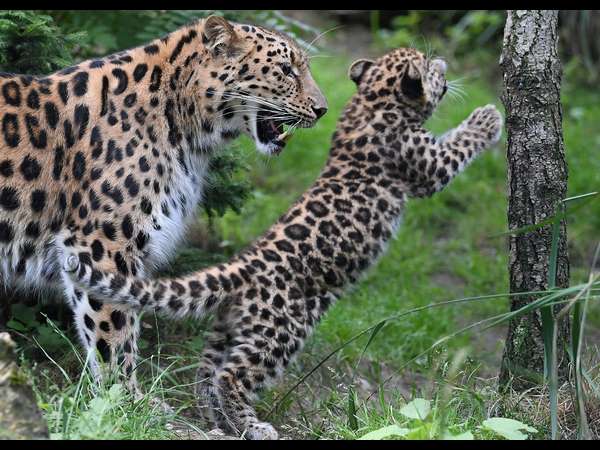 ಒಳಗೆ ಸಿಲುಕಿದ್ದ ಇಬ್ಬರು