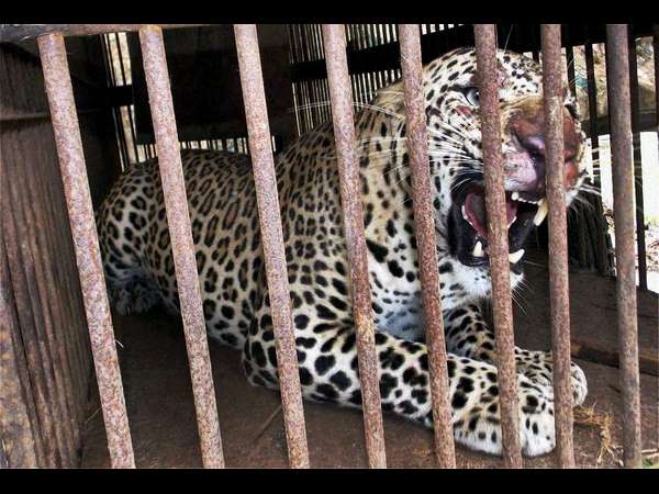 ಸಚಿವಾಲಯಕ್ಕೂ ಬಂದಿತ್ತು