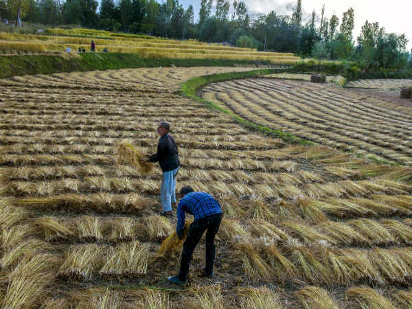 ಚುನಾವಣೆಯಲ್ಲಿ ರೈತರೇ ಮುಖ್ಯ