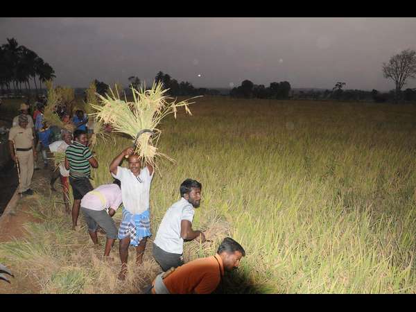  60 ಗಂಡಾಳುಗಳು ಸಾಥ್ ನೀಡಿದರು 