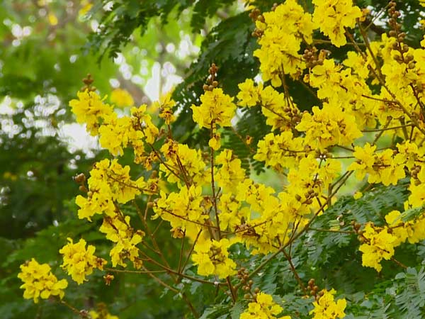  ಆಶ್ಚರ್ಯಕರ ರೀತಿ ಬದಲಾವಣೆ