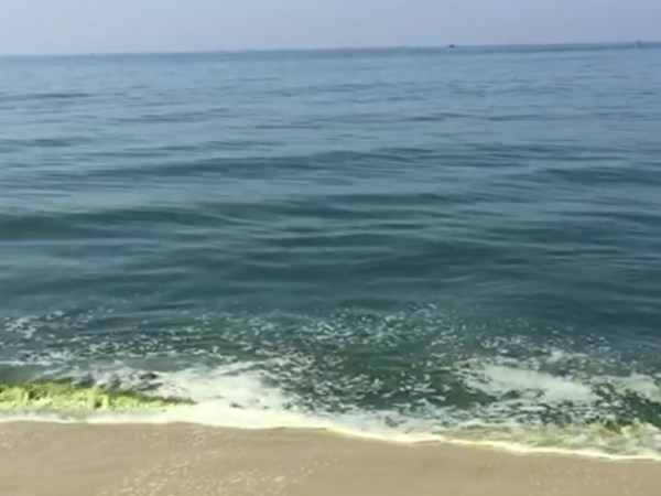  ಹಸಿರು ನೀರಿನಿಂದ ಕೆಟ್ಟ ಪರಿಣಾಮ! 