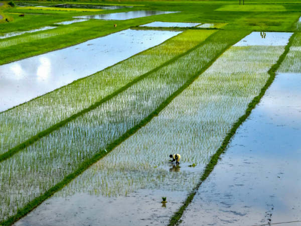  ನಾಡ ಕಚೇರಿ ಸಿಬ್ಬಂದಿ ನಿಯೋಜನೆ 