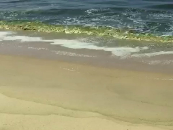  ಕಳೆದ ವರ್ಷ ಹೀಗೆ ಆಗಿತ್ತು 