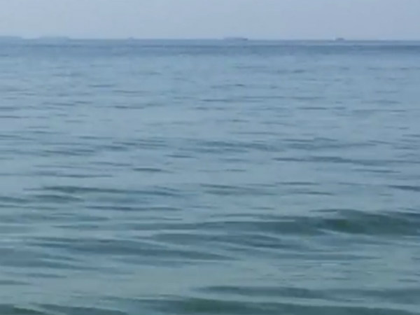  ಸಣ್ಣ ಪುಟ್ಟ ಮೀನುಗಳು ಸಾವನ್ನಪ್ಪುತ್ತಿವೆ 