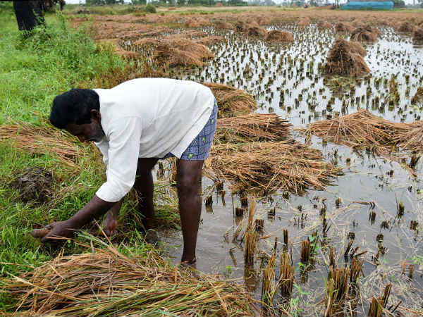 ಅಧಿಕಾರಕ್ಕೆ ಬಂದರೆ ದೇಶದ ರೈತರ ಸಾಲಮನ್ನಾ