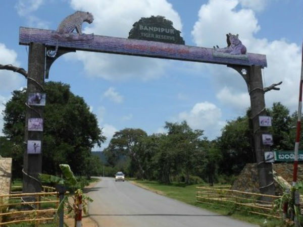 ಎಲಿವೇಟೆಡ್ ರಸ್ತೆ ನಿರ್ಮಾಣ ಎಲಿವೇಟೆಡ್ ರಸ್ತೆ ನಿರ್ಮಾಣ