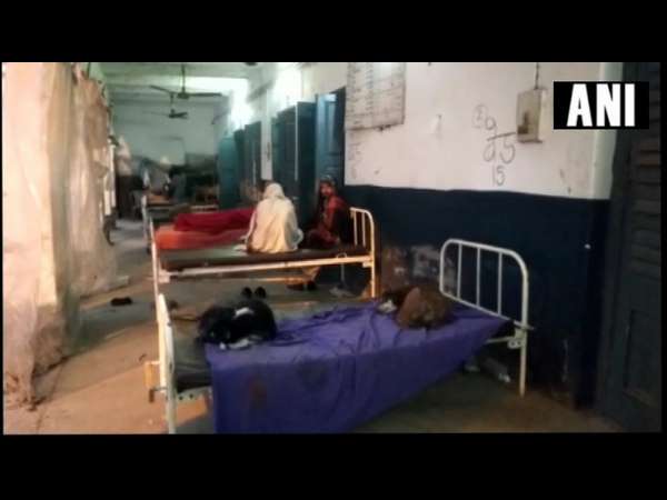 Dogs sleep on government hospital beds in Bihar, patients complain Dogs sleep on government hospital beds in Bihar, patients complain