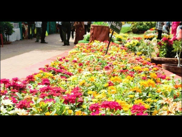 Flower show inaugurated in Mangaluru