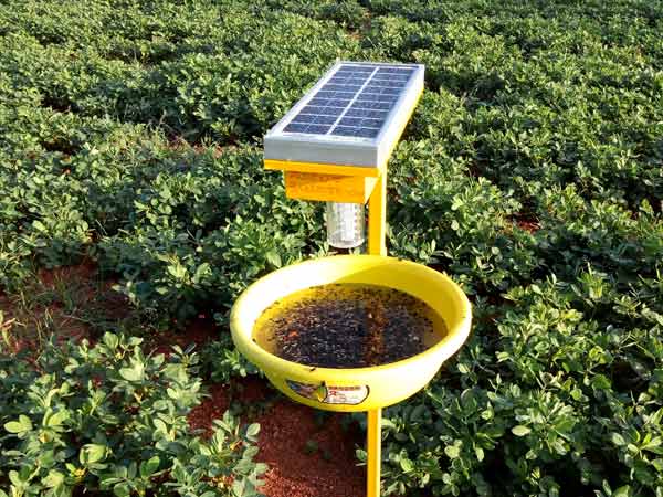 ವಿಷಪೂರಿತ ಆಹಾರ