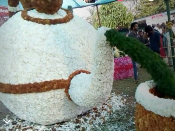 Flower show attracted people in Kadri park at Mangaluru Flower show attracted people in Kadri park at Mangaluru