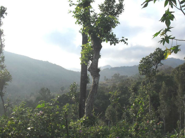 ಲಕ್ಷಣವೇನು?