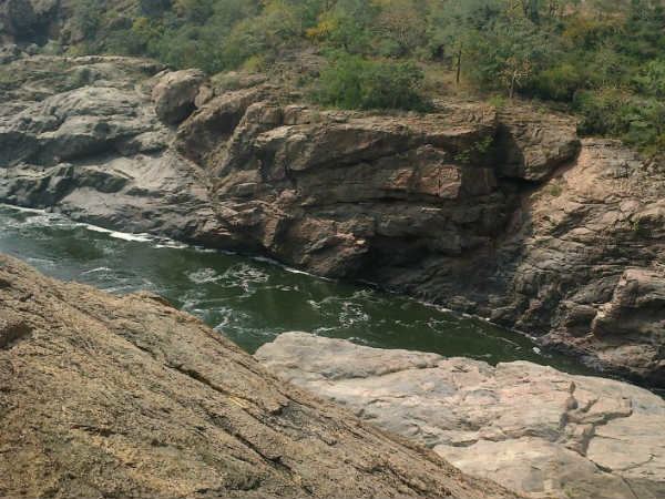 ತಮಿಳುನಾಡು ವಿರೋಧ