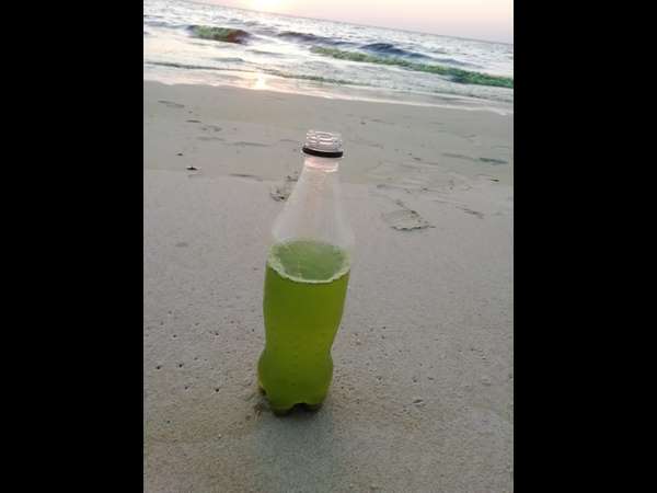 Sea water in Malpe turned green colour Sea water in Malpe turned green colour