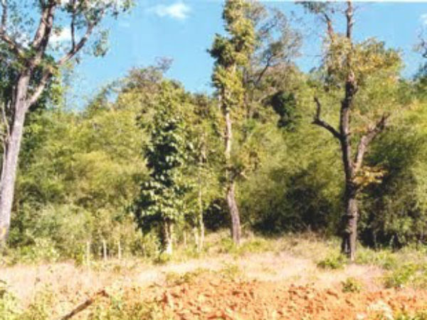  ಕಾಡಿಗೆ ಹೋಗುವಾಗ ಜಾಗೃತೆವಹಿಸಿ 