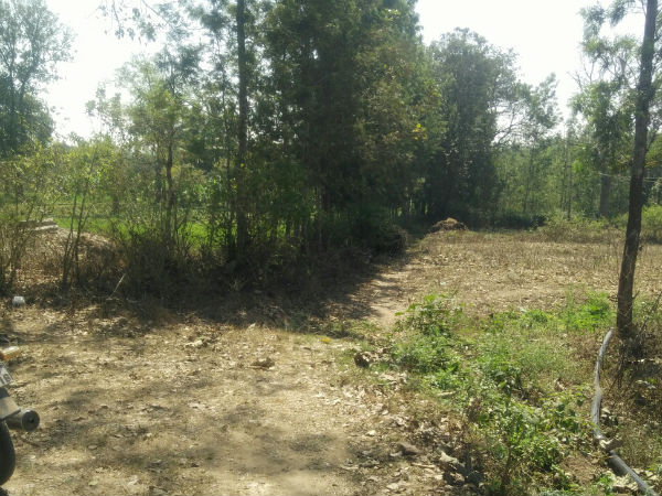 Fence is responsible for death of old man 
