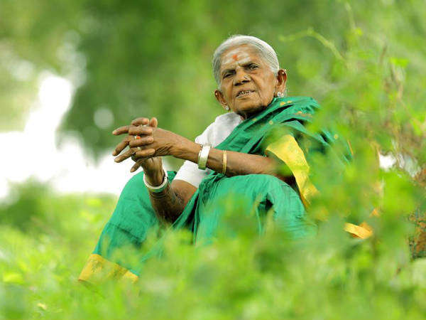ಸಾಲುಮರದ ತಿಮ್ಮಕ್ಕನ ಸಾಧನೆಗಳು 