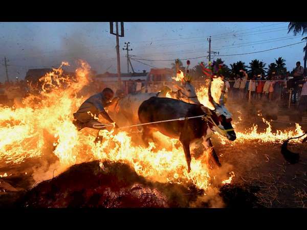 ಖಾರ-ಸಿಹಿ ಪೊಂಗಲ್ ಅಡುಗೆ ಮಾಡಬೇಕು
