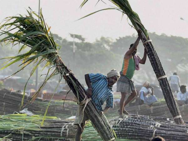  ನಾಲ್ಕು ದಿನಗಳ ಹಬ್ಬವಿದು 