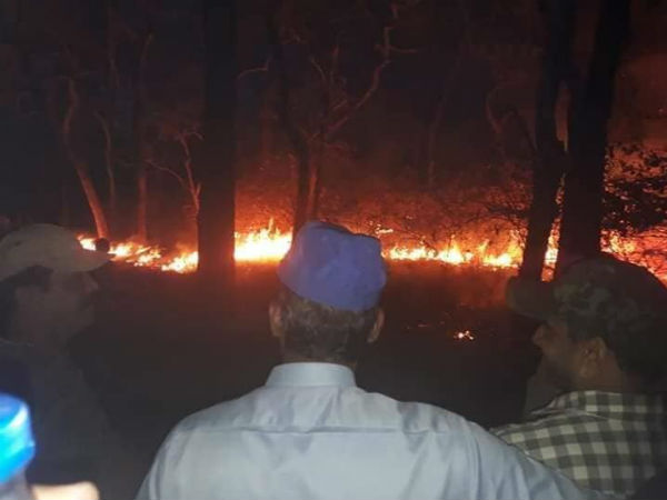  ಒನ್ ಇಂಡಿಯಾ: ಇದುವರೆಗೂ ಎಷ್ಟು ಎಕರೆ ಅರಣ್ಯ ಪ್ರದೇಶ ನಾಶವಾಗಿದೆ?