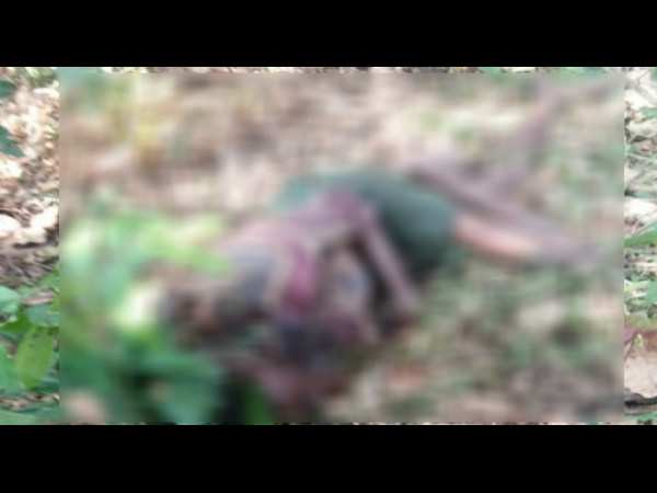 ಅರಣ್ಯ ಇಲಾಖೆಯವರು ಕಾಲ್ಕಿತ್ತರು 