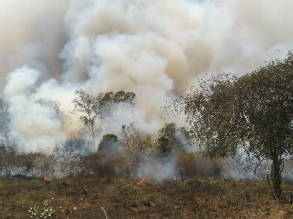 ಅನೇಕ ಕಡೆಗಳಲ್ಲಿ ಕಾಡ್ಗಿಚ್ಚು ಅನೇಕ ಕಡೆಗಳಲ್ಲಿ ಕಾಡ್ಗಿಚ್ಚು