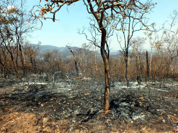  ಹದಿನೈದು ಮಂದಿ ವಶಕ್ಕೆ 