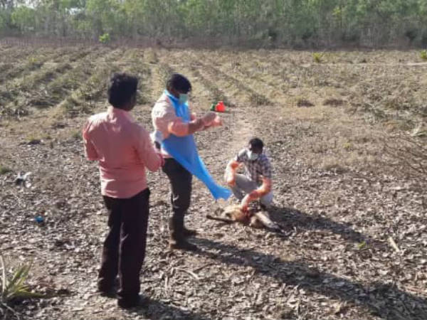  ಚುಚ್ಚುಮದ್ದುಗಳ ಕೊರತೆ 